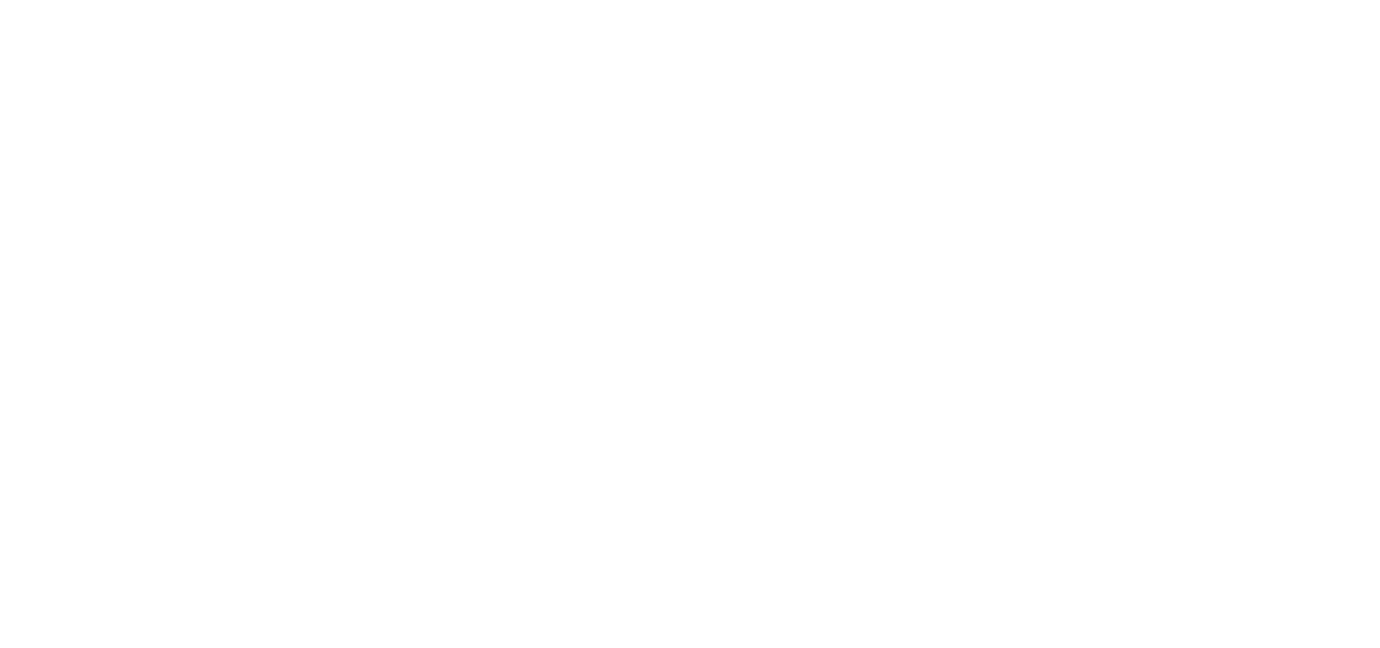 insteel-frame-logo-bianco
